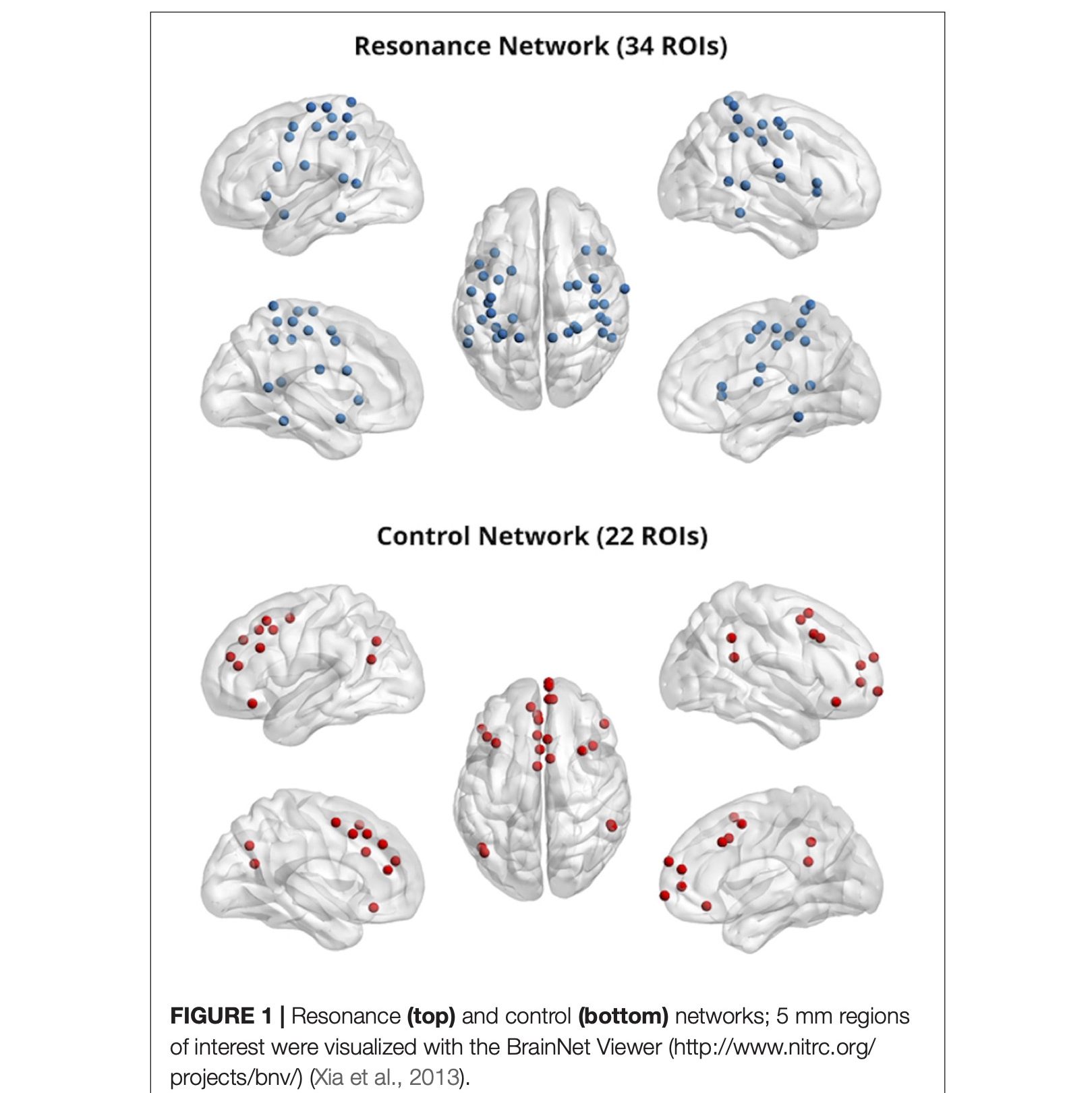Network cerebrali della risonanza emotiva e della regolazione emotiva