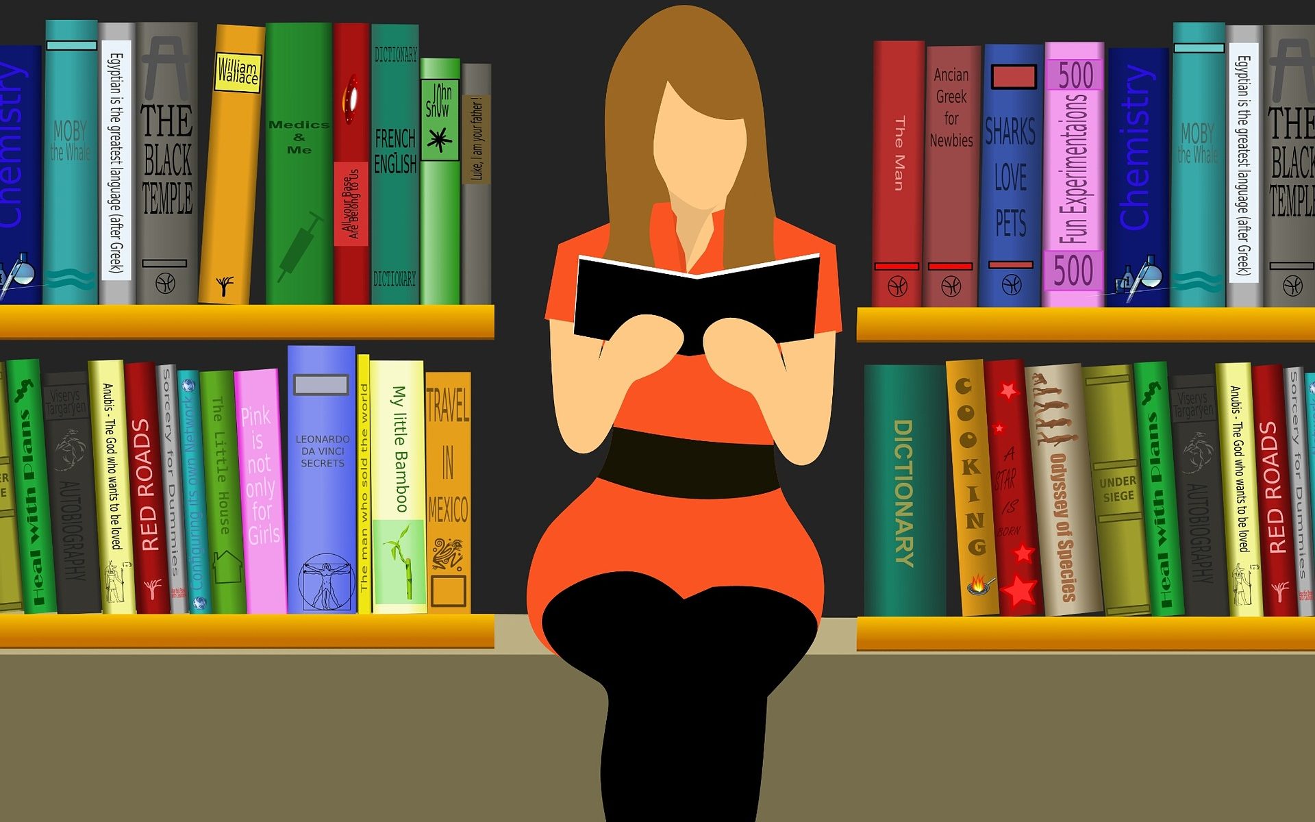 Biblioteca , una donna che legge, un disegno molto colorato
